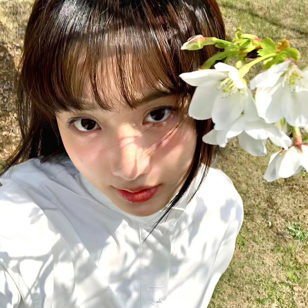 孔雀王子